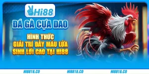 Đá gà cựa dao - Hình thức giải trí đầy máu lửa, sinh lời cao tại Hi88