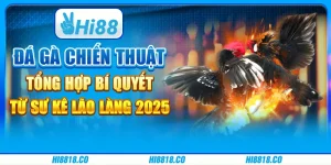 Đá gà chiến thuật - Tổng hợp bí quyết từ sư kê lão làng 2025