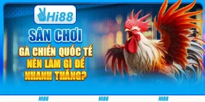 Sân chơi gà chiến quốc tế - Nên làm gì để nhanh thắng?